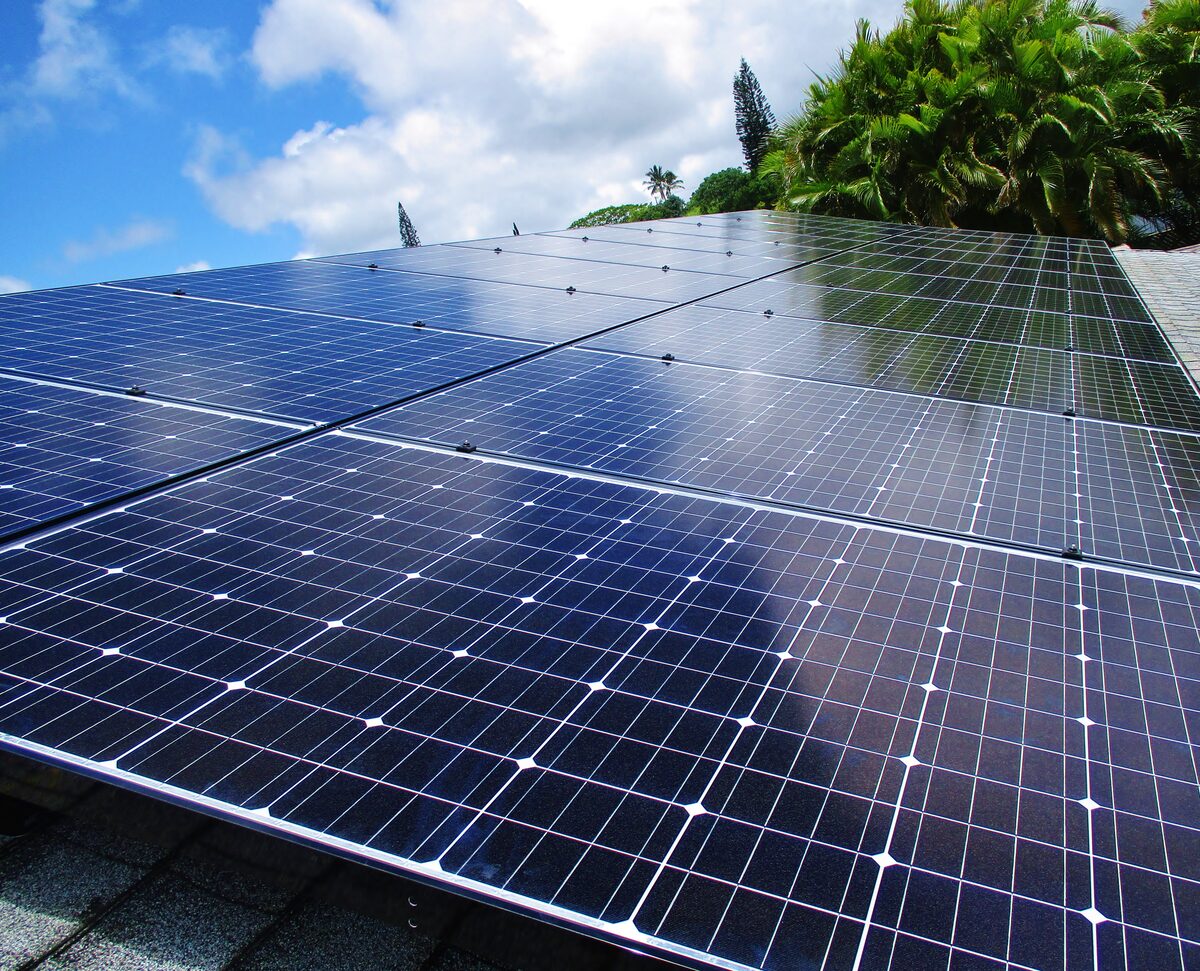 Solar panels in Kaneohe with tropical vegetation